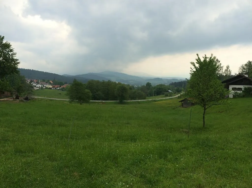 Gasthof Pension Cafe Papke Zwiesel